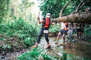 BIB: 
                            <button type="button" onclick="openModal(25515032)" class="btn btn-primary btn-sm float-right btn-popup" data-toggle="modal" data-target=".modal-high-quality">
                        <i class="fas fa-shopping-cart"></i> Add to Cart
                    </button>
                                            <button type="button" onclick="isThisMe(25515032, true)" class="btn btn-success btn-sm float-right btn-popup btn-isme hidden" data-toggle="tooltip" data-placement="bottom" title="นี่คือรูปของคุณใช่ไหม คลิกที่นี่เพื่อเอาเข้าอัลบั้ม">
                        <i class="fas fa-plus"></i> Add to album
                    </button>
                    <button type="button" onclick="isThisMe(25515032, false)" class="btn btn-warning btn-sm float-right btn-popup btn-isnotme hidden">
                        <i class="fas fa-ban"></i> Remove from album
                    </button>